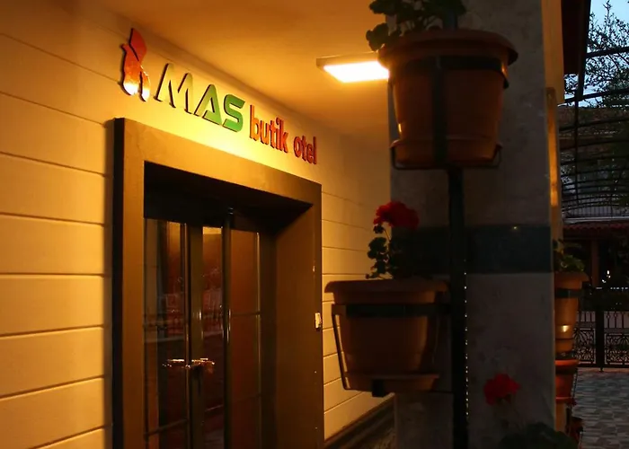 Hotel Mas Butik